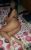 Sınırsız Akyarlar Escort Selin Sizi Bekliyor - Image 1