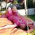 Gümüşlük Azgın Escort Sera - Image 1 Gümüşlük Azgın Escort Sera - Image 1