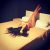 İdeal Geceler için Akyarlar Escort Selen - Image 1