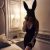 Gündoğan Escort Milli Yapan Eda - Image 2