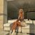 Lüks Otel Seven Azgın Bodrum Escort Çisem - Image 1